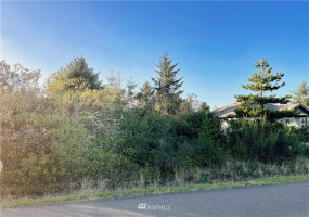 354 Razor Clam, Ocean Shores, Washington 98569, ,Land,For Sale,10,Razor Clam,NWM1860474