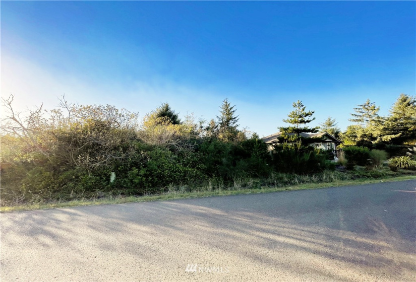 354 Razor Clam, Ocean Shores, Washington 98569, ,Land,For Sale,10,Razor Clam,NWM1860474