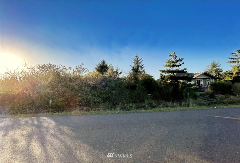 354 Razor Clam, Ocean Shores, Washington 98569, ,Land,For Sale,10,Razor Clam,NWM1860474