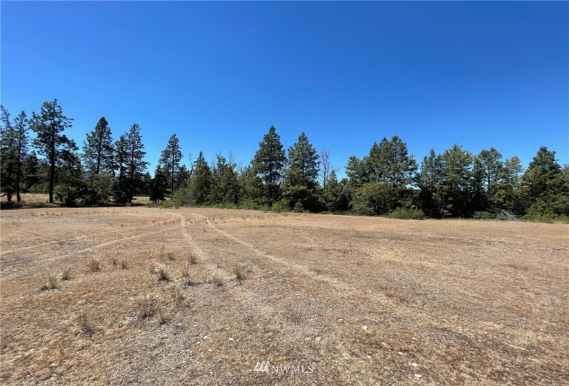 0 NKA Dalle, Cle Elum, Washington 98922, ,Land,For Sale,49,Dalle,NWM1854817