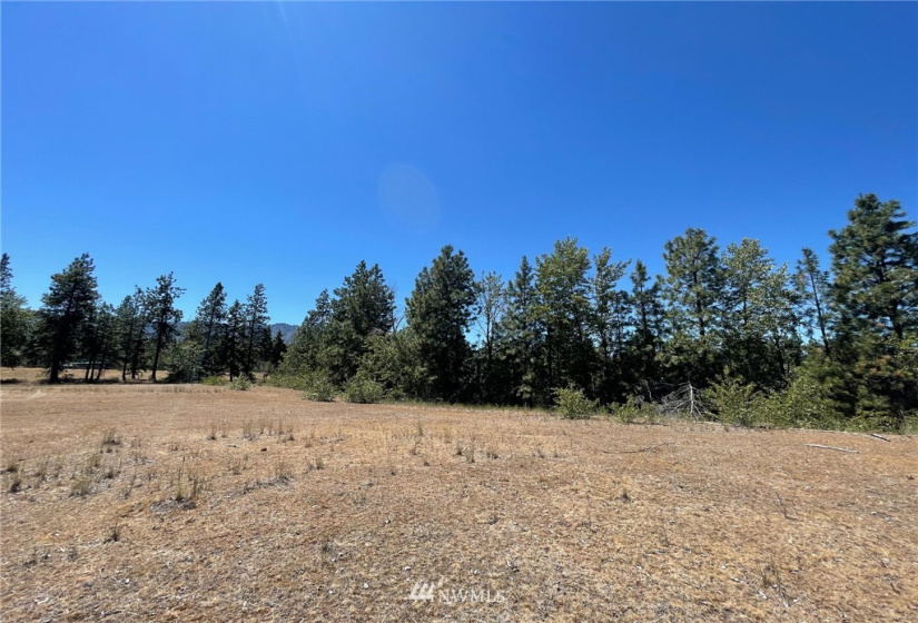 0 NKA Dalle, Cle Elum, Washington 98922, ,Land,For Sale,49,Dalle,NWM1854817