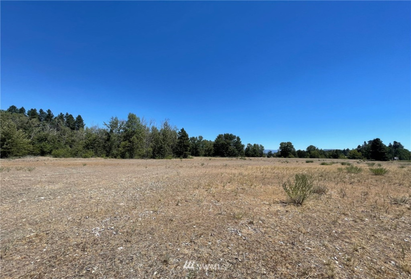 0 NKA Dalle, Cle Elum, Washington 98922, ,Land,For Sale,49,Dalle,NWM1854817