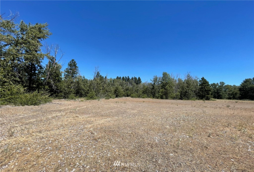0 NKA Dalle, Cle Elum, Washington 98922, ,Land,For Sale,49,Dalle,NWM1854817