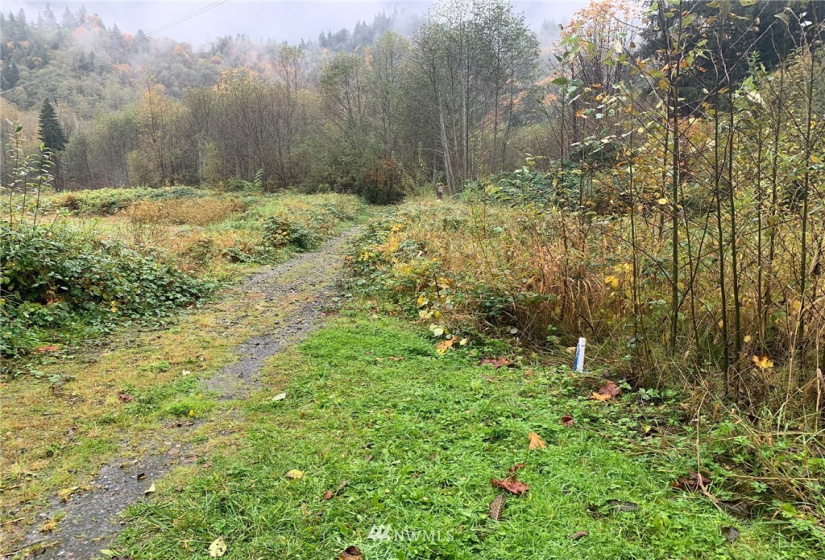 49706 Mt Index River, Gold Bar, Washington 98251, ,Land,For Sale,Mt Index Riversites 2,Mt Index River,NWM1859573