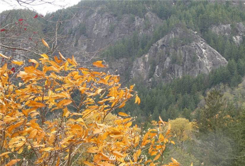 49706 Mt Index River, Gold Bar, Washington 98251, ,Land,For Sale,Mt Index Riversites 2,Mt Index River,NWM1859573