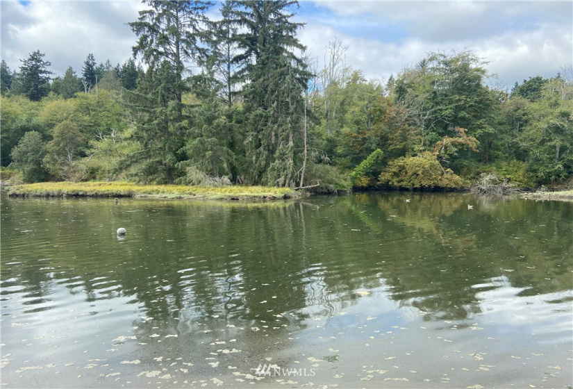 22859 Indianola, Poulsbo, Washington 98370, ,Land,For Sale,Indianola,NWM1859006