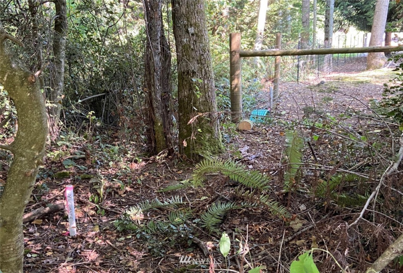 22859 Indianola, Poulsbo, Washington 98370, ,Land,For Sale,Indianola,NWM1859006