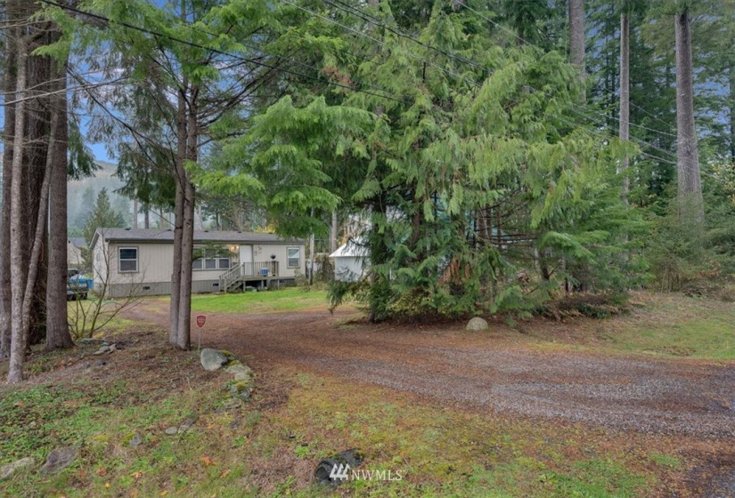8396 Golden Valley, Maple Falls, Washington 98266, 3 Bedrooms Bedrooms, ,2 BathroomsBathrooms,Residential,For Sale,Golden Valley,NWM1858432