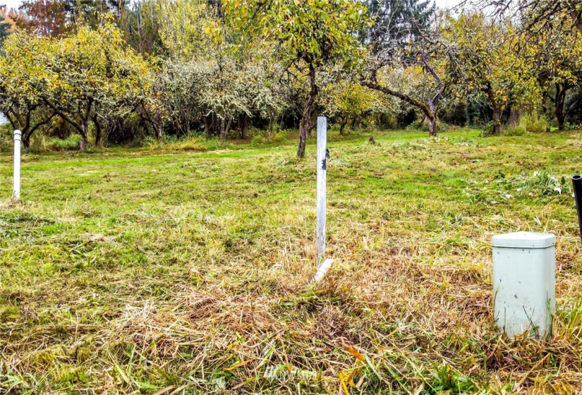 0 Corwin, Puyallup, Washington 98371, ,Land,For Sale,Corwin,NWM1861169
