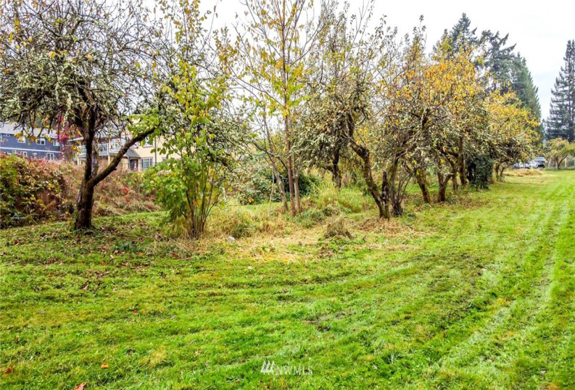 0 Corwin, Puyallup, Washington 98371, ,Land,For Sale,Corwin,NWM1861169