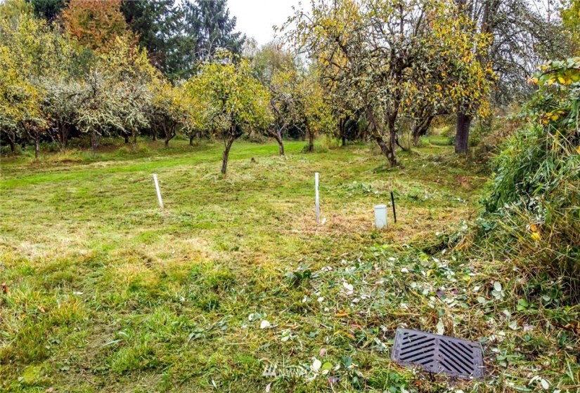 0 Corwin, Puyallup, Washington 98371, ,Land,For Sale,Corwin,NWM1861169