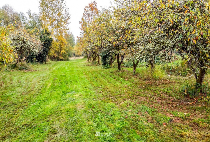 0 Corwin, Puyallup, Washington 98371, ,Land,For Sale,Corwin,NWM1861169