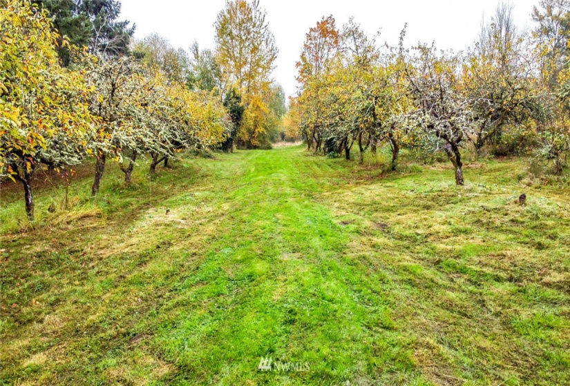 0 Corwin, Puyallup, Washington 98371, ,Land,For Sale,Corwin,NWM1861169