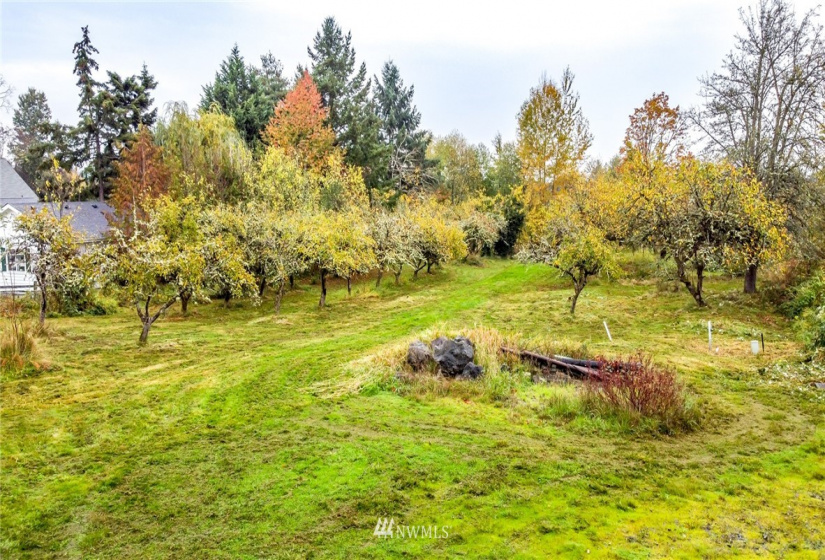 0 Corwin, Puyallup, Washington 98371, ,Land,For Sale,Corwin,NWM1861169