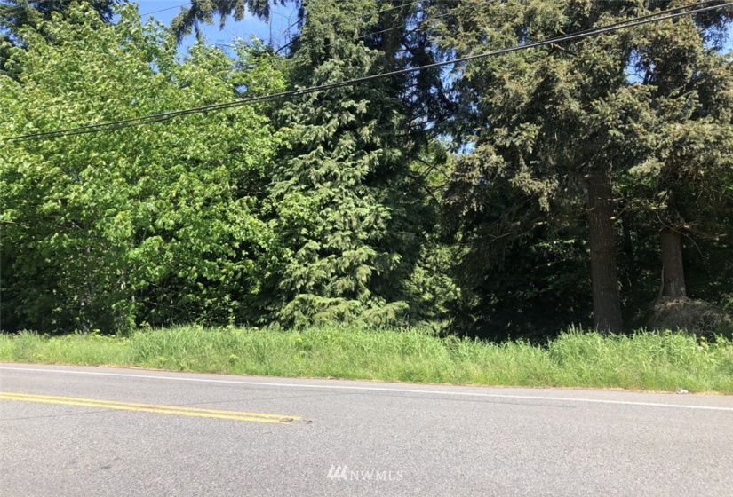 212 xx Lot 1 Cypress, Lynnwood, Washington 98036, ,Land,For Sale,Alderwood Manor 06,Cypress,NWM1861179