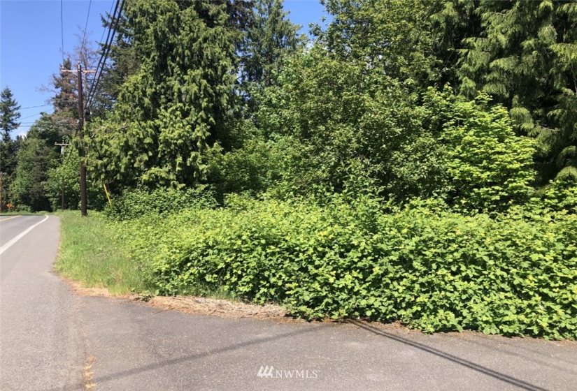 212 xx Lot 1 Cypress, Lynnwood, Washington 98036, ,Land,For Sale,Alderwood Manor 06,Cypress,NWM1861179