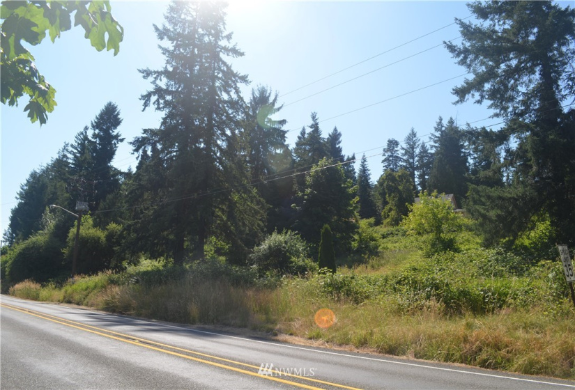 401 Front, Bucoda, Washington 98530, ,Land,For Sale,McEllroy and Williams,Front,NWM1860278