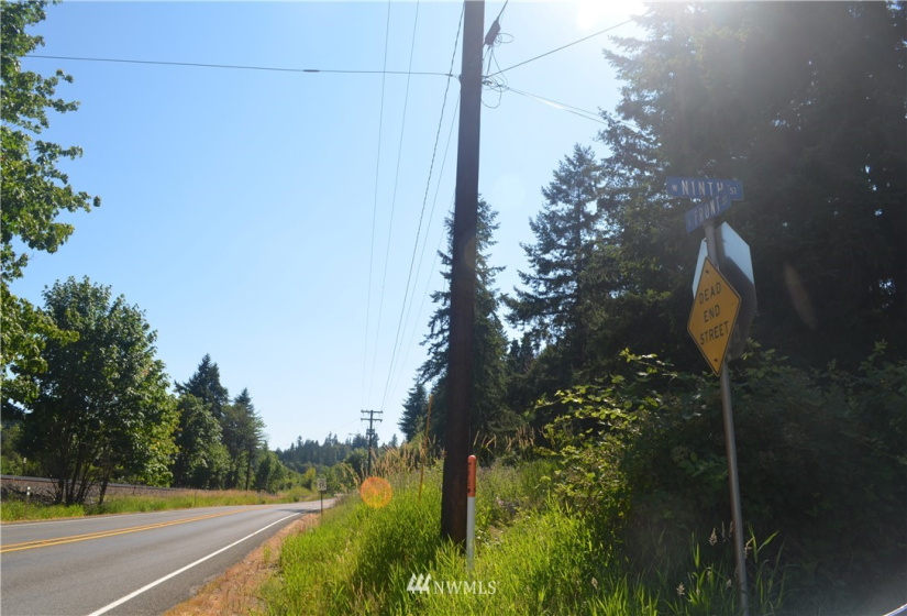 401 Front, Bucoda, Washington 98530, ,Land,For Sale,McEllroy and Williams,Front,NWM1860278