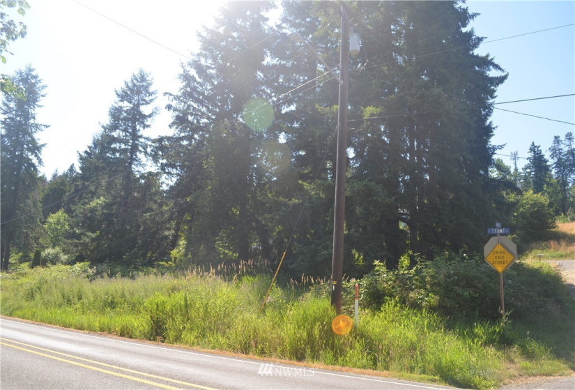 401 Front, Bucoda, Washington 98530, ,Land,For Sale,McEllroy and Williams,Front,NWM1860278