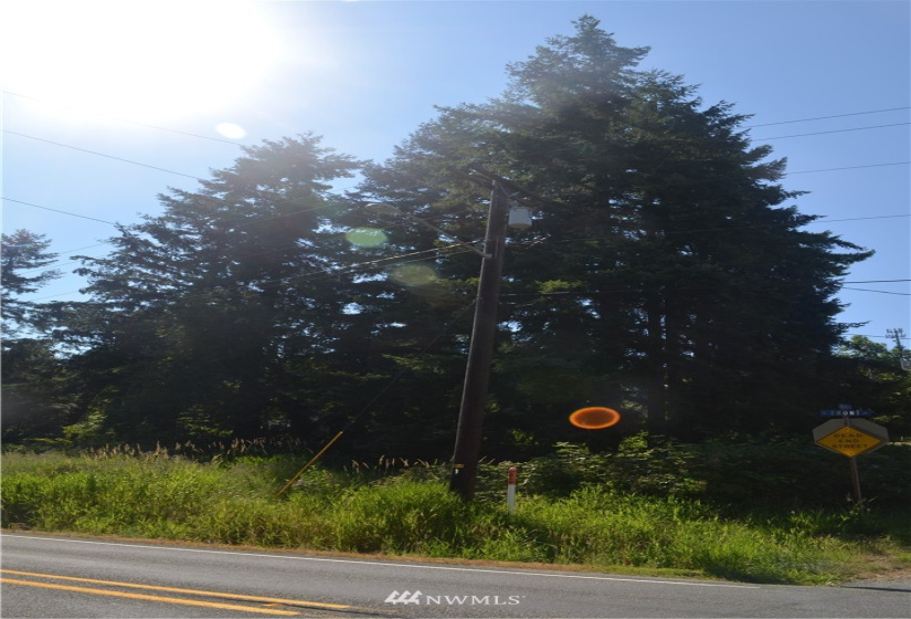 401 Front, Bucoda, Washington 98530, ,Land,For Sale,McEllroy and Williams,Front,NWM1860278