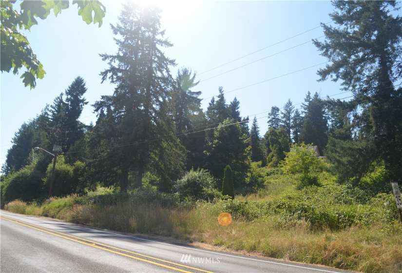 401 Front, Bucoda, Washington 98530, ,Land,For Sale,McEllroy and Williams,Front,NWM1860278