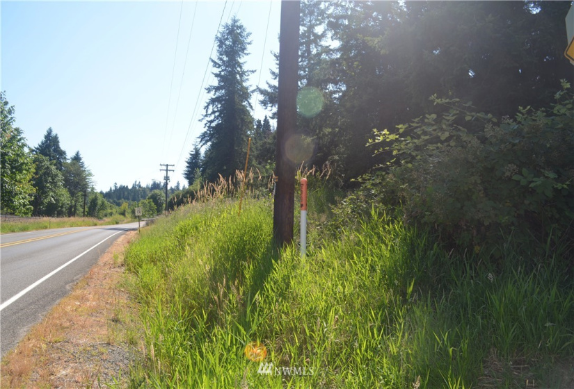 401 Front, Bucoda, Washington 98530, ,Land,For Sale,McEllroy and Williams,Front,NWM1860278