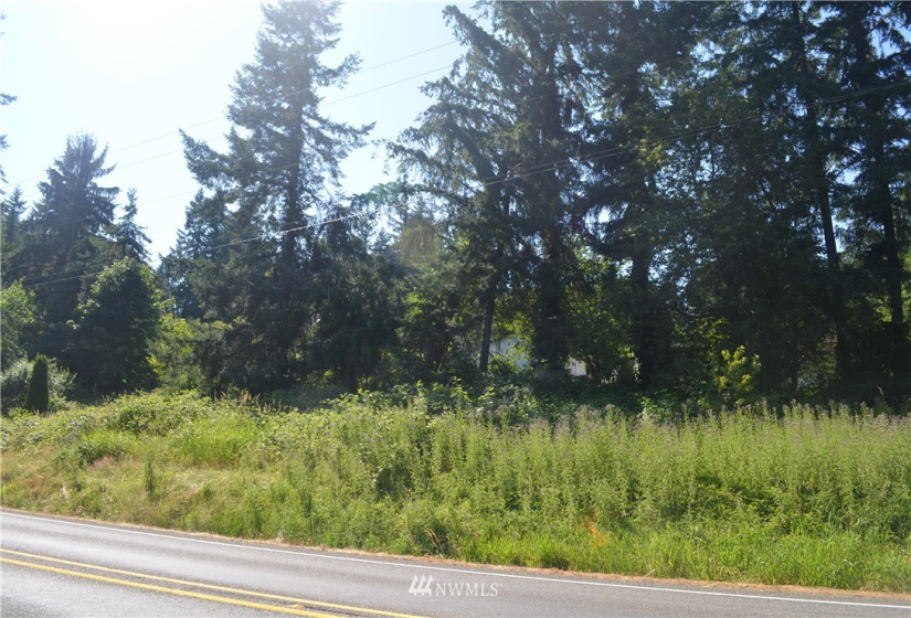 401 Front, Bucoda, Washington 98530, ,Land,For Sale,McEllroy and Williams,Front,NWM1860278
