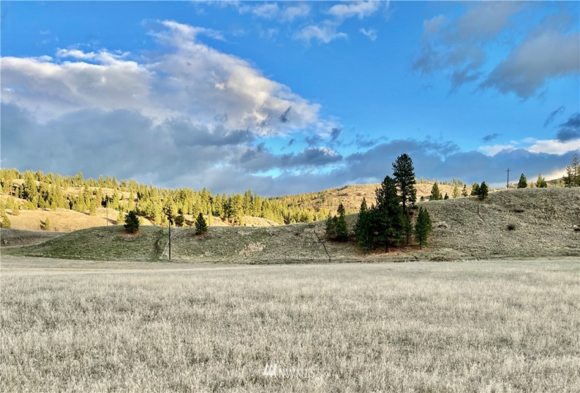 9 Herron Creek, Republic, Washington 99166, ,Land,For Sale,Herron Creek,NWM1861262