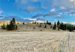 9 Herron Creek, Republic, Washington 99166, ,Land,For Sale,Herron Creek,NWM1861262
