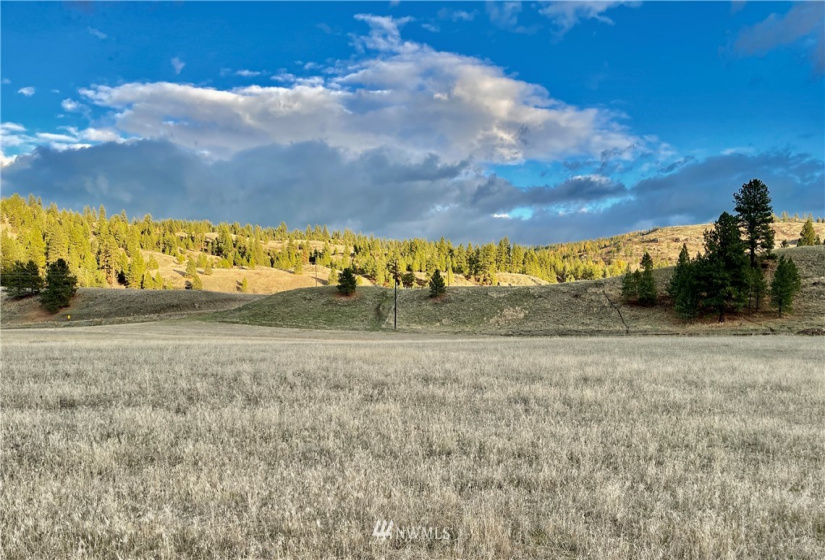 9 Herron Creek, Republic, Washington 99166, ,Land,For Sale,Herron Creek,NWM1861262