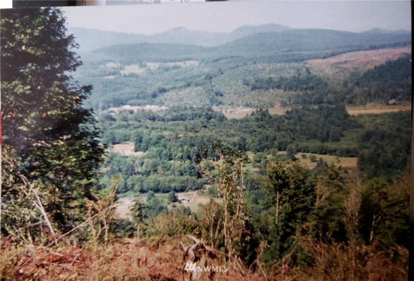 0 Off Birley, Mossyrock, Washington 98564, ,Land,For Sale,Off Birley,NWM1860721