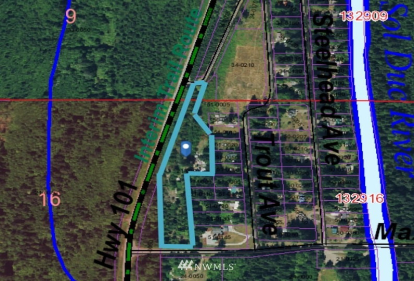 111 Salmon, Forks, Washington 98331, ,Land,For Sale,Salmon,NWM1860297