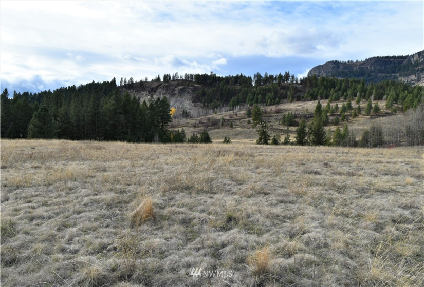 0 TBD Malo Lake, Malo, Washington 99150, ,Land,For Sale,Malo Lake,NWM1859440