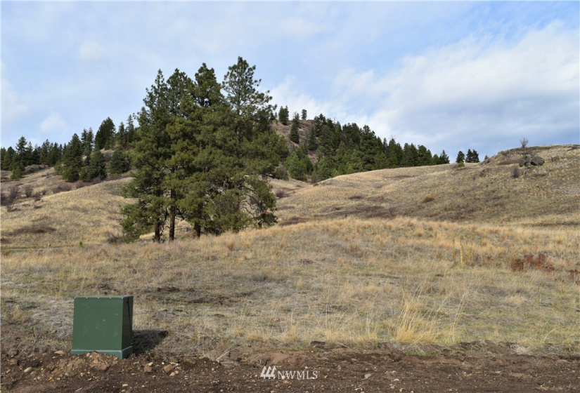 0 TBD Malo Lake, Malo, Washington 99150, ,Land,For Sale,Malo Lake,NWM1859440