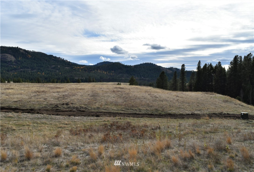 0 TBD Malo Lake, Malo, Washington 99150, ,Land,For Sale,Malo Lake,NWM1859440