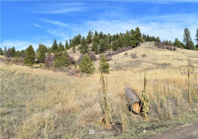 0 TBD Malo Lake, Malo, Washington 99150, ,Land,For Sale,Malo Lake,NWM1859440