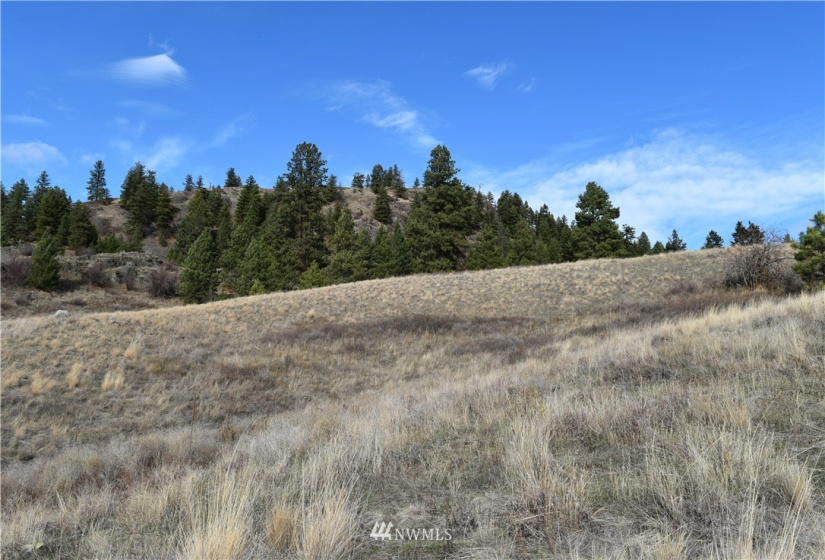 0 TBD Malo Lake, Malo, Washington 99150, ,Land,For Sale,Malo Lake,NWM1859440