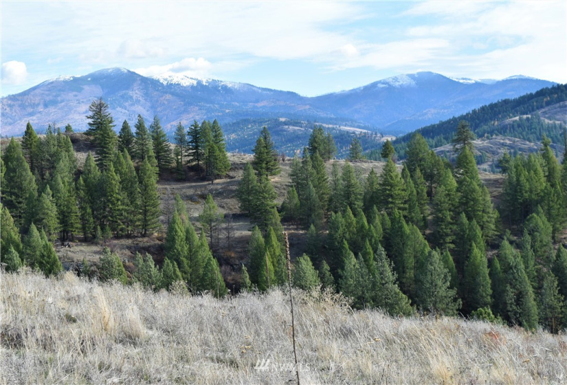 0 TBD Malo Lake, Malo, Washington 99150, ,Land,For Sale,Malo Lake,NWM1859440