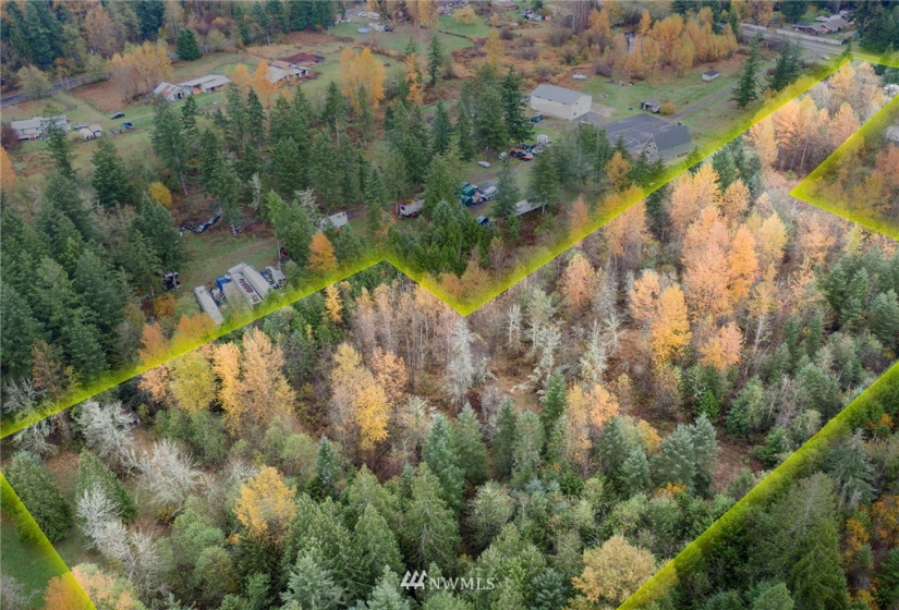29010 Meridian, Graham, Washington 98338, ,Land,For Sale,Meridian,NWM1860660