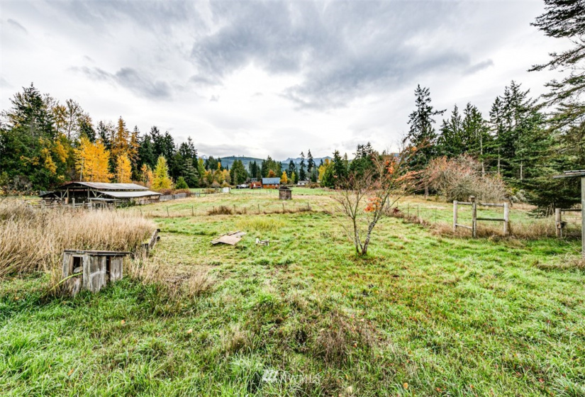 3906 Cayanus, Port Angeles, Washington 98363, 2 Bedrooms Bedrooms, ,1 BathroomBathrooms,Residential,For Sale,Cayanus,NWM1861549