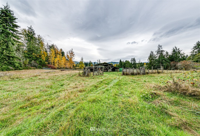 3906 Cayanus, Port Angeles, Washington 98363, 2 Bedrooms Bedrooms, ,1 BathroomBathrooms,Residential,For Sale,Cayanus,NWM1861549