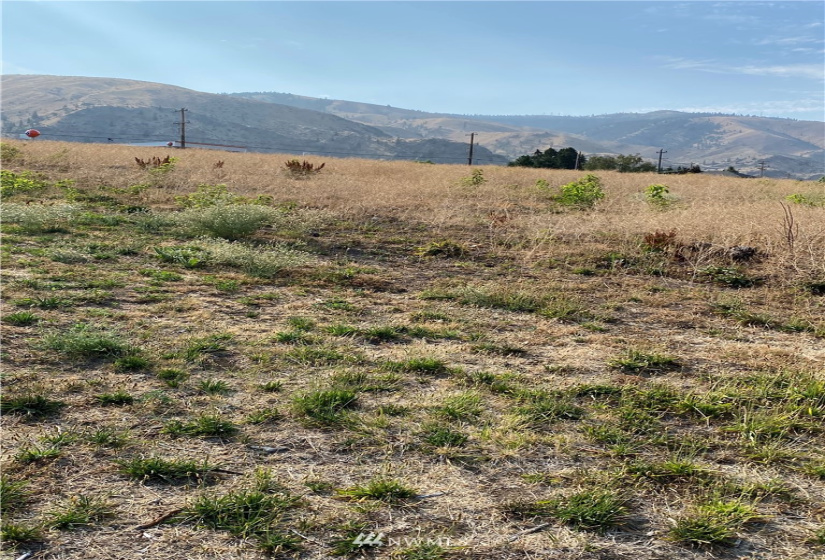 21321 US Highway 97, Orondo, Washington 98843, ,Commercial Sale,For Sale,US Highway 97,NWM1861576