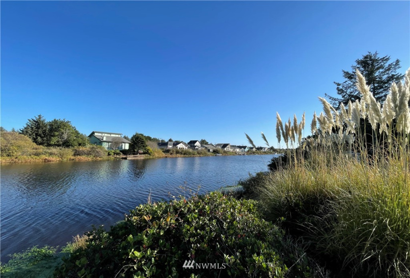 466 Point Brown, Ocean Shores, Washington 98569, ,Land,For Sale,3,Point Brown,NWM1861667
