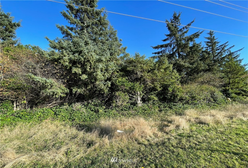 466 Point Brown, Ocean Shores, Washington 98569, ,Land,For Sale,3,Point Brown,NWM1861667
