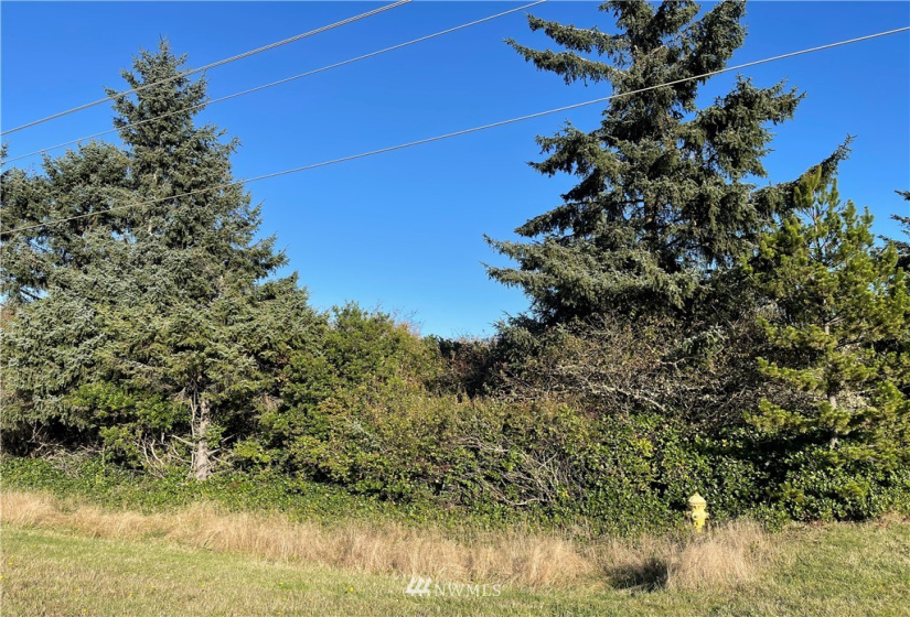 466 Point Brown, Ocean Shores, Washington 98569, ,Land,For Sale,3,Point Brown,NWM1861667