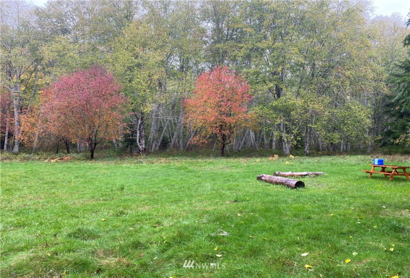 0 Rendsland Creek, Tahuya, Washington 98588, ,Land,For Sale,Rendsland Creek,NWM1858779