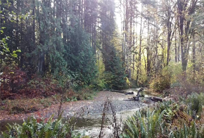 0 Rendsland Creek, Tahuya, Washington 98588, ,Land,For Sale,Rendsland Creek,NWM1858779