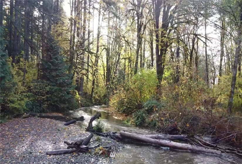 0 Rendsland Creek, Tahuya, Washington 98588, ,Land,For Sale,Rendsland Creek,NWM1858779