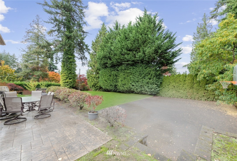 9410 24th, Clyde Hill, Washington 98004, 4 Bedrooms Bedrooms, ,2 BathroomsBathrooms,Residential Lease,For Rent,24th,NWM1861388