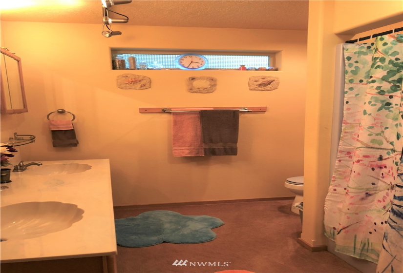 8500 Delaney, Kingston, Washington 98346, 4 Bedrooms Bedrooms, ,2 BathroomsBathrooms,Residential,For Sale,Large Lot 205,Delaney,NWM1860257